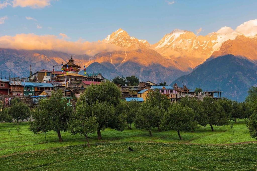 Himachal Tour Package – 7 Days and 6 Nights