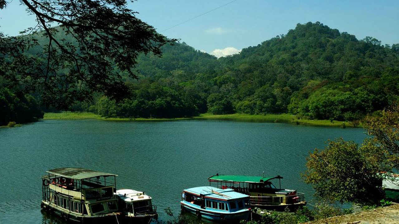 Tales of Kerala Tour Package – 5 Days / 4 Nights image 8