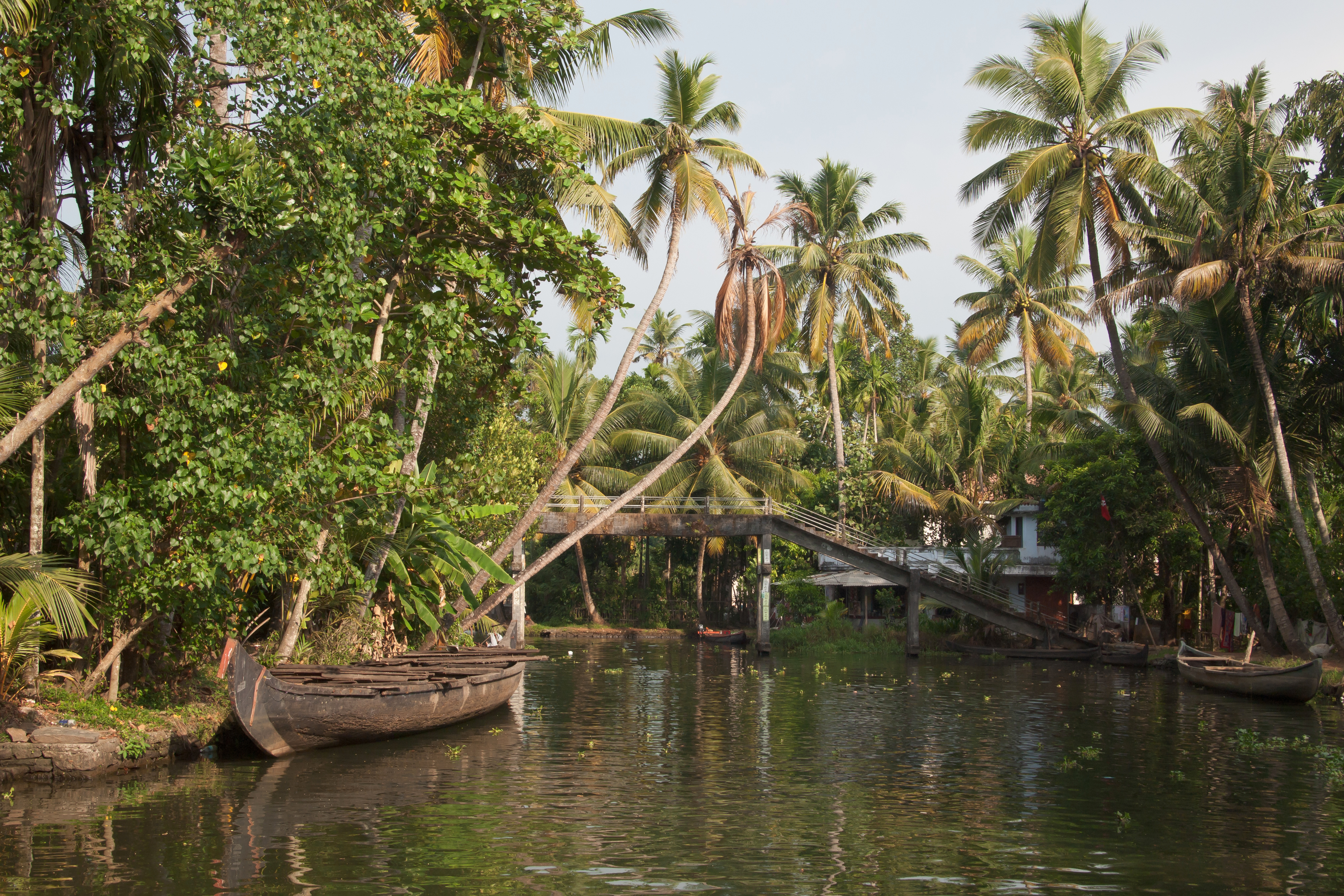 Kerala Group Tour Package - 6 Days and 5 Nights image 4