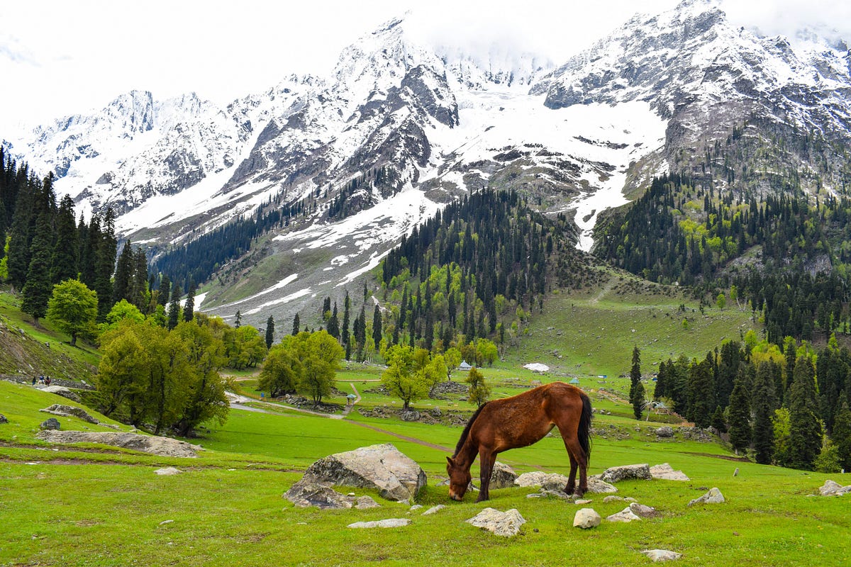 Leh to Leh with Turtuk Tour Package - 5N/6D image 9