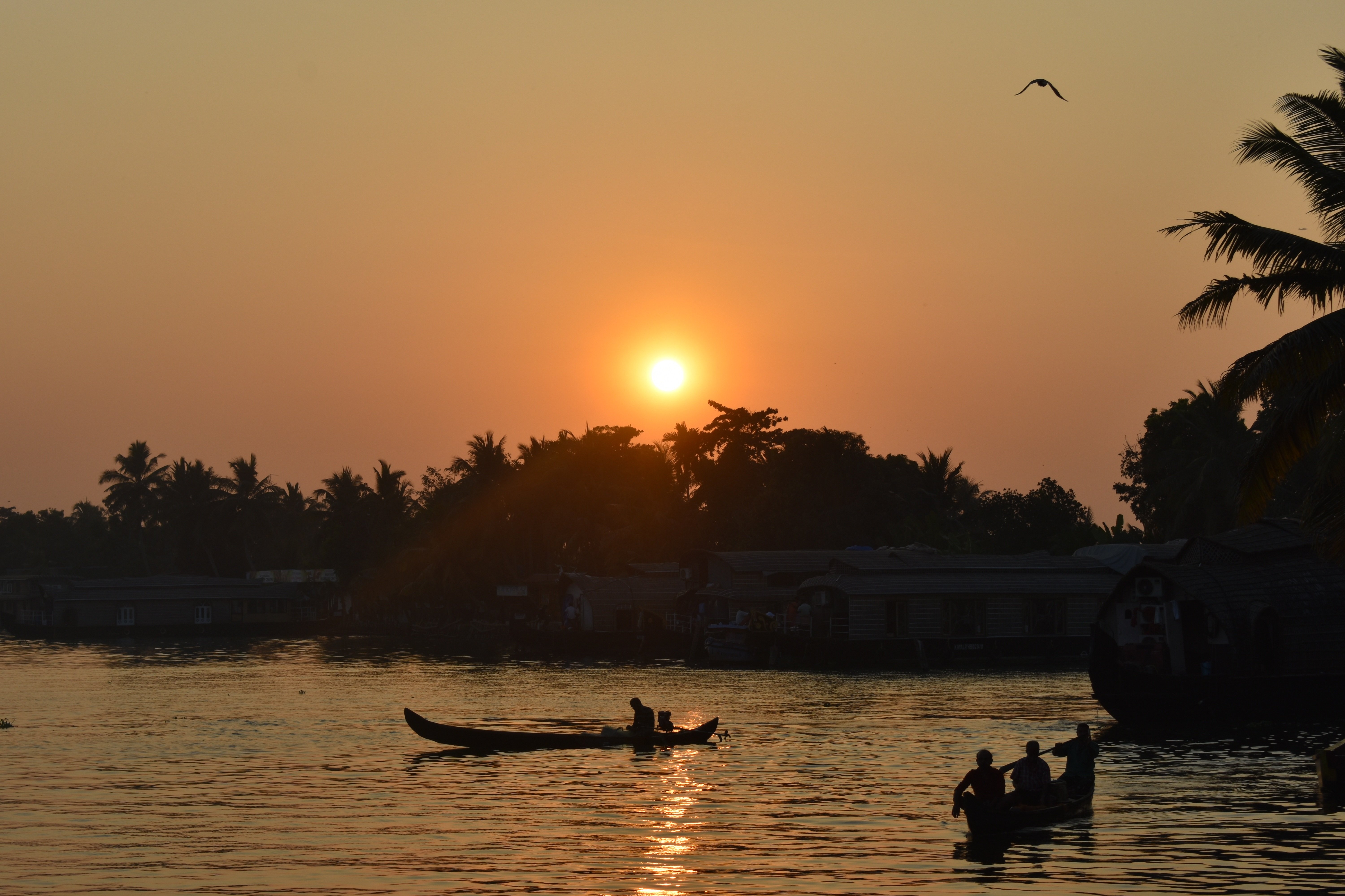 Which Is the Best Season to Visit Kerala for Backwaters and Hills?