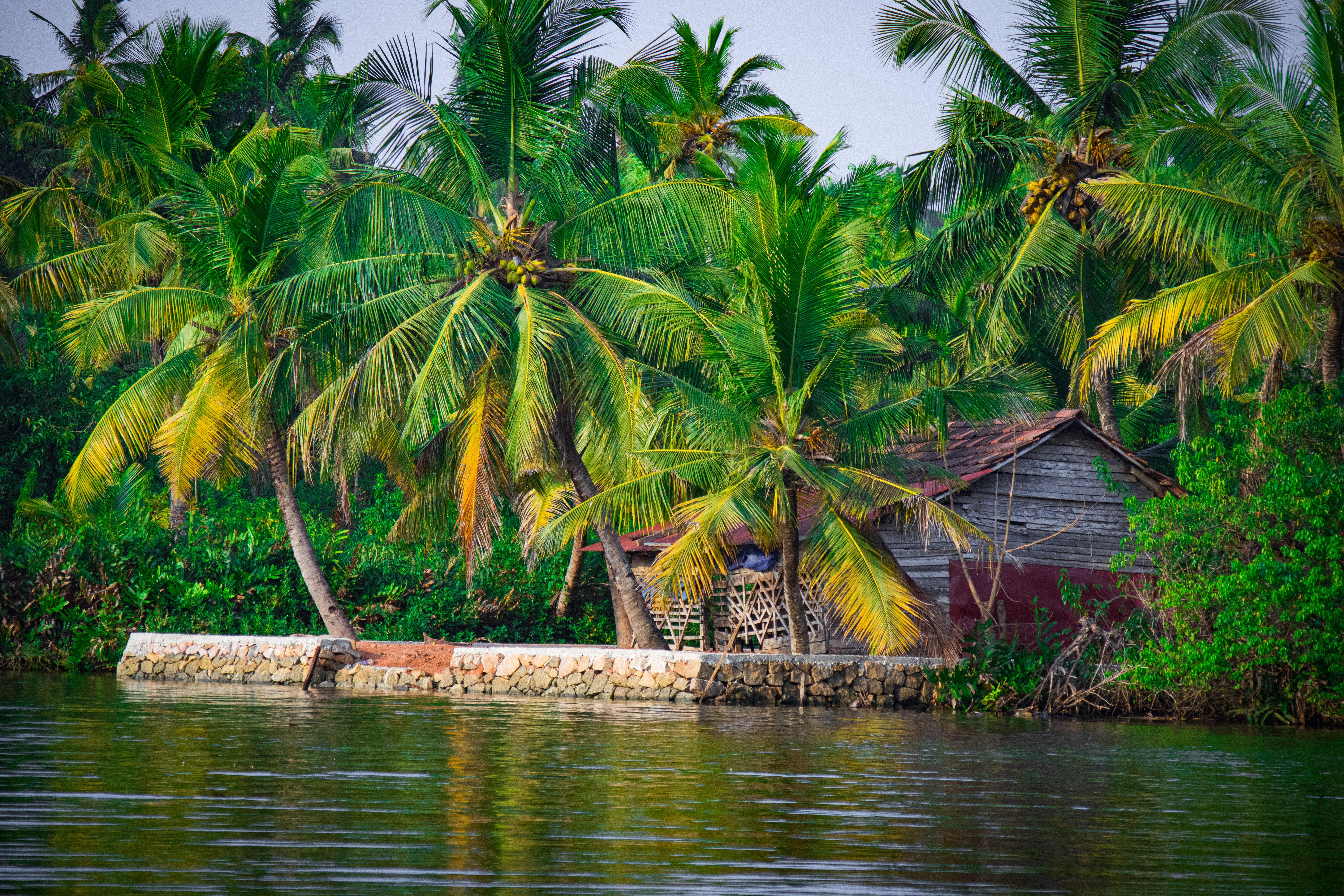 What Are the Must-Visit Tourist Attractions in Kerala for First-Timers? A Complete Travel Guide