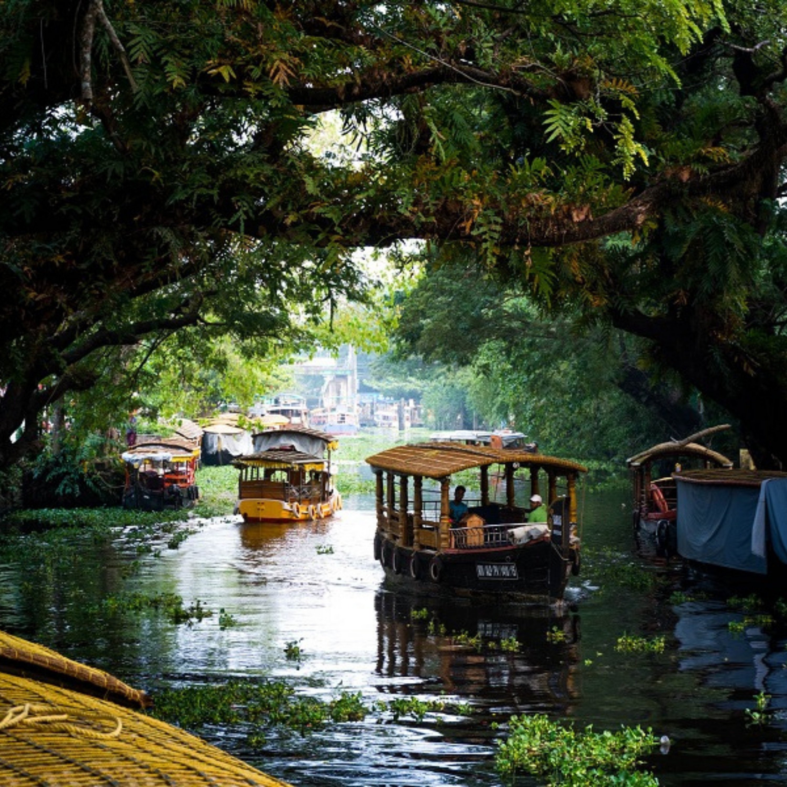 What Are the Best Things to Do in Kerala for Couples, Families, and Solo Travelers?