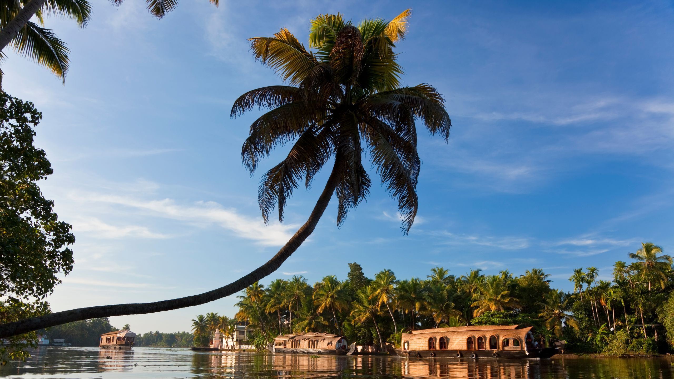 Kerala Delight With Houseboat Stay - 6 Days / 5 Nights